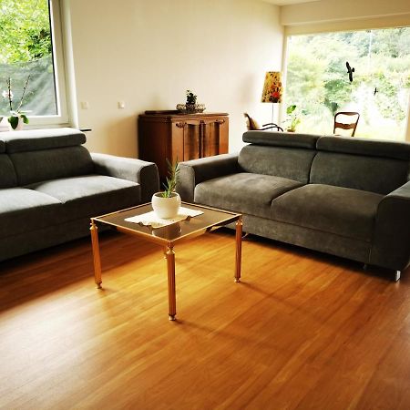 Charmantes Ferienhaus Casa Ella Mit Balkon ジーゲン エクステリア 写真